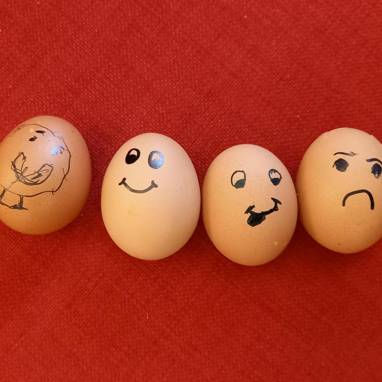 MINT- Lösungen finden!
